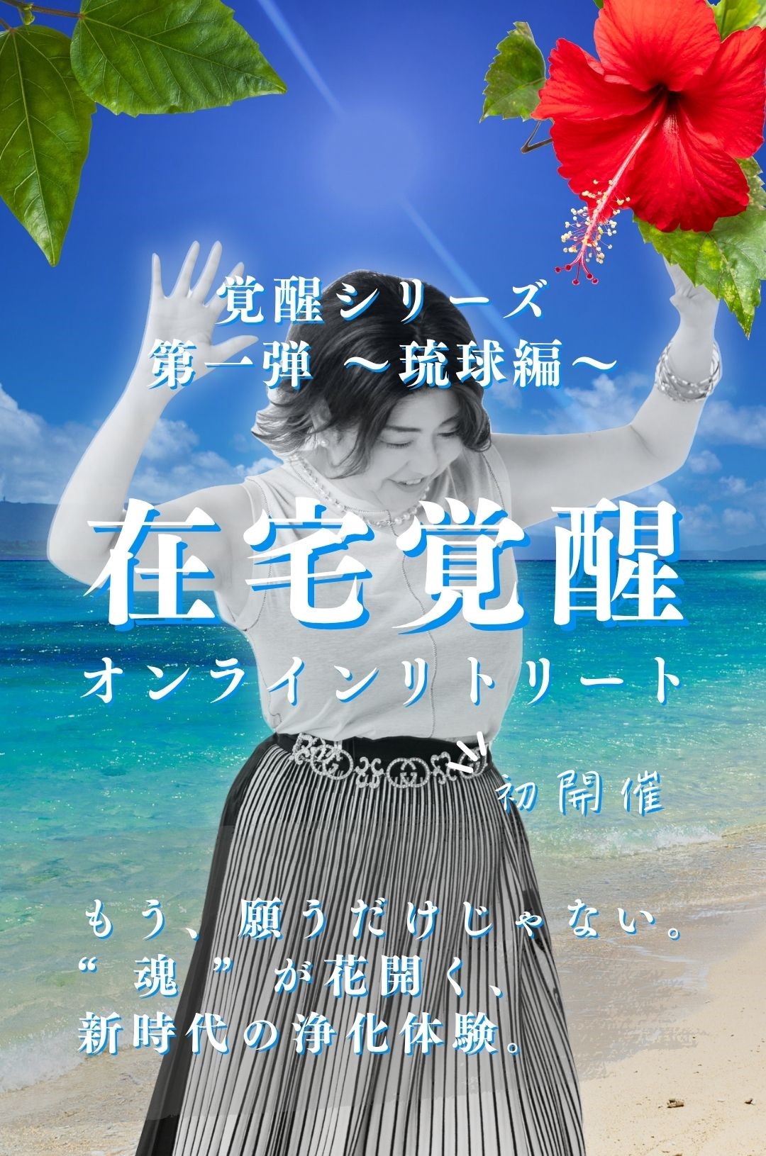 在宅覚醒～琉球編～